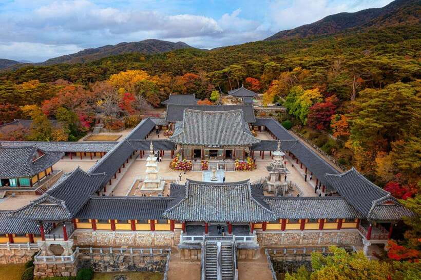 From Busan: Gyeongju Historical Day Tour with Sky Capsule - Hwangnidan-gil, where Gyeongju changes tone