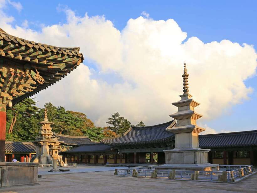 From Busan: Gyeongju Historical Day Tour with Sky Capsule - The coach ride home and the true cost of the day
