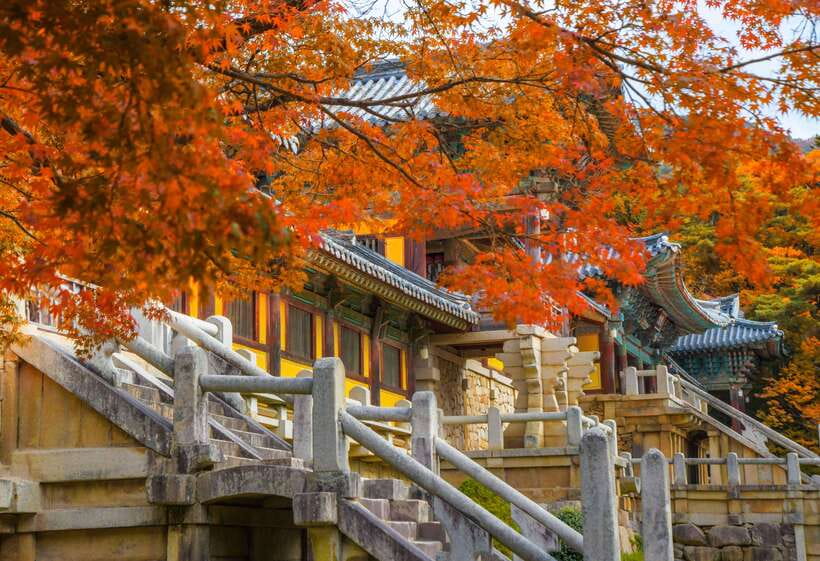 From Busan: Gyeongju UNESCO World Heritage Guided Day Tour - Bulguksa Temple and Silla’s Buddhist vision