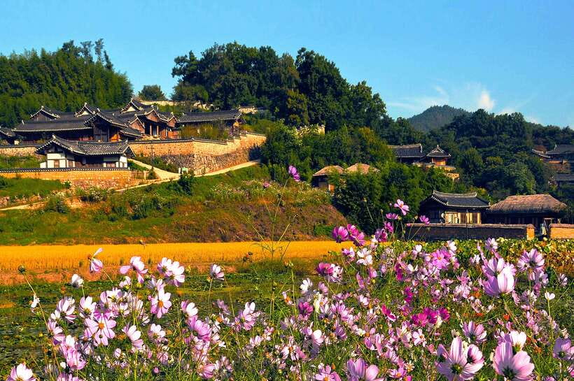 From Busan: Gyeongju UNESCO World Heritage Guided Day Tour - Daereungwon’s giant tombs and Cheonmachong
