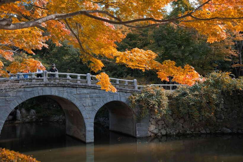 From Busan: Gyeongju UNESCO World Heritage Guided Day Tour - Hwangridan Street, where old Gyeongju gets a modern edge