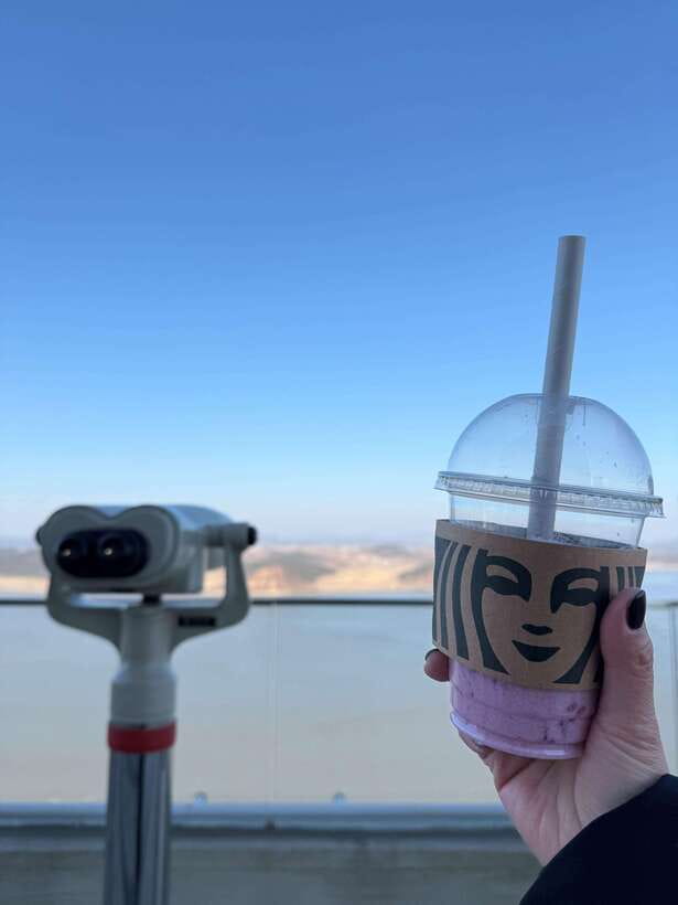 From Seoul: Aegibong Starbucks Observatory & DMZ View - Aegibong Peace Park brings art, gardens, and memory together