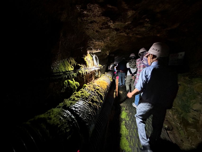 From Seoul: Cheorwon DMZ and 2nd Tunnel Tour with Lunch - Bibimbap lunch in a local restaurant