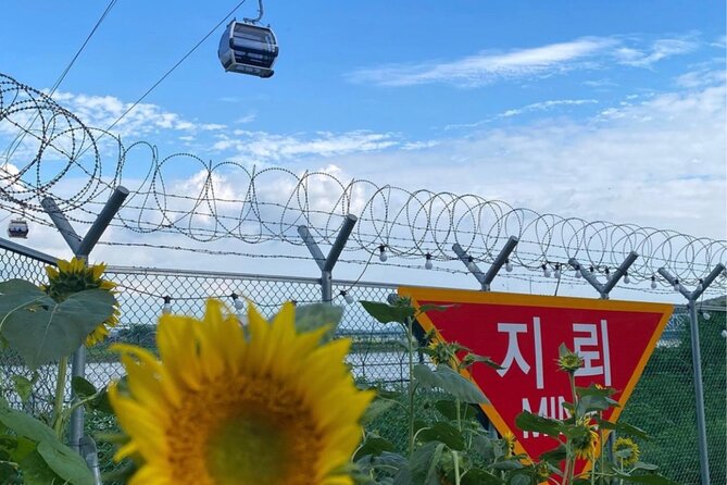 From Seoul: Cost-Benefit DMZ Shuttle Bus tour - Timing, passports, weather, and group size