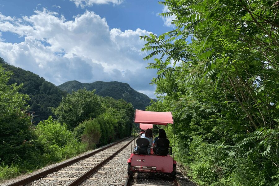 From Seoul: Full Day Trip to Alpaca Farm with Rail Bike - Key points to know before you book