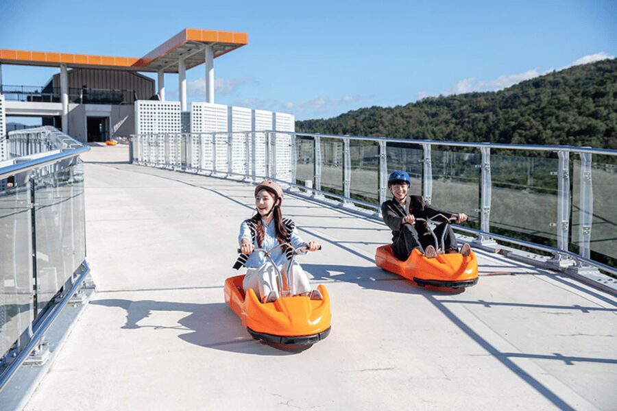 From Seoul: Full Day Trip to Alpaca Farm with Rail Bike - Alpaca World, more than a photo stop