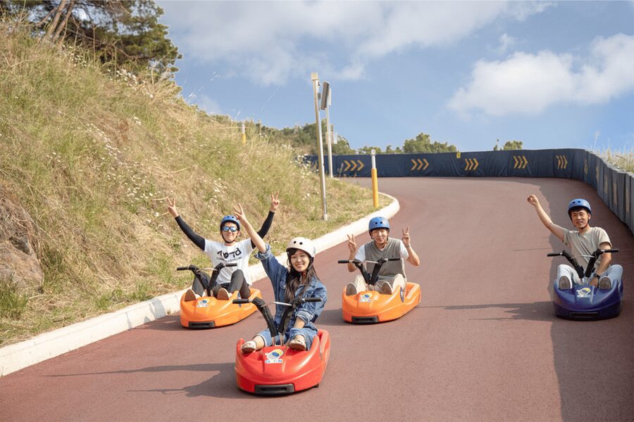 From Seoul: Full Day Trip to Alpaca Farm with Rail Bike - Who will enjoy this day most