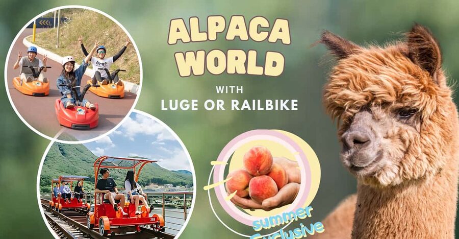 From Seoul: Full Day Trip to Alpaca Farm with Rail Bike - Booking details worth noticing