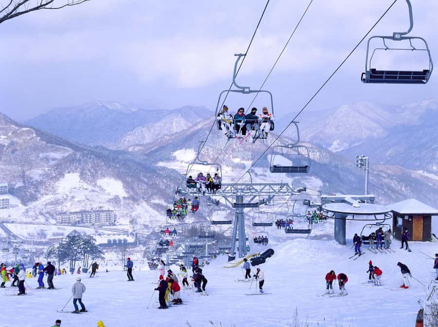 From Seoul: Korea Ski Tour - Jisan Forest Resort - Why Jisan Forest works for a first ski day
