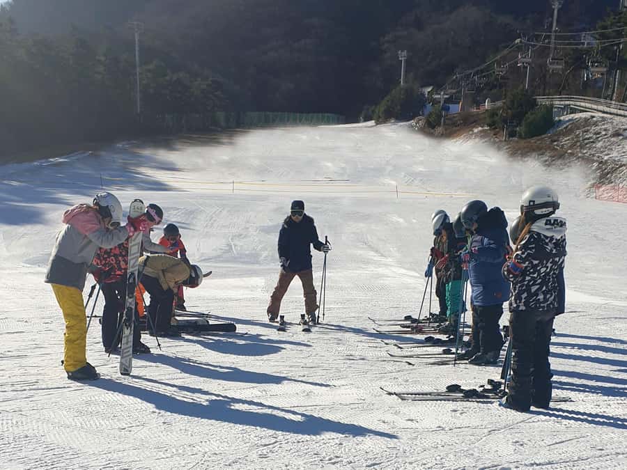 From Seoul: Korea Ski Tour - Jisan Forest Resort - Is $35 good value?