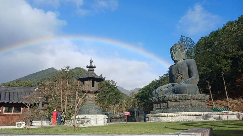 From Seoul: Korea Spring Cherry Blossom Day Tour - What the long Seoul transfer is worth