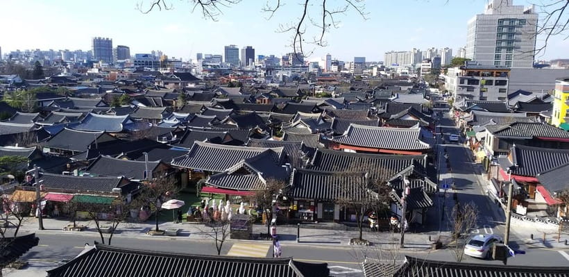 From Seoul: Korea Spring Cherry Blossom Day Tour - Driver-guides, free time, and the pace of the day