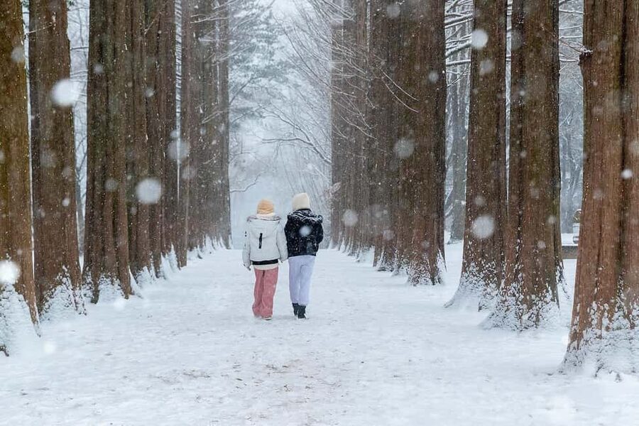From Seoul: Nami Island, K-drama Garden & Rail Bike Day Tour - Key points at a glance