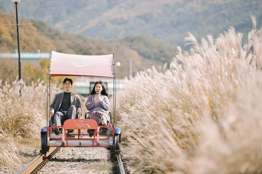 From Seoul: Nami Island, K-drama Garden & Rail Bike Day Tour - Why these three places work together