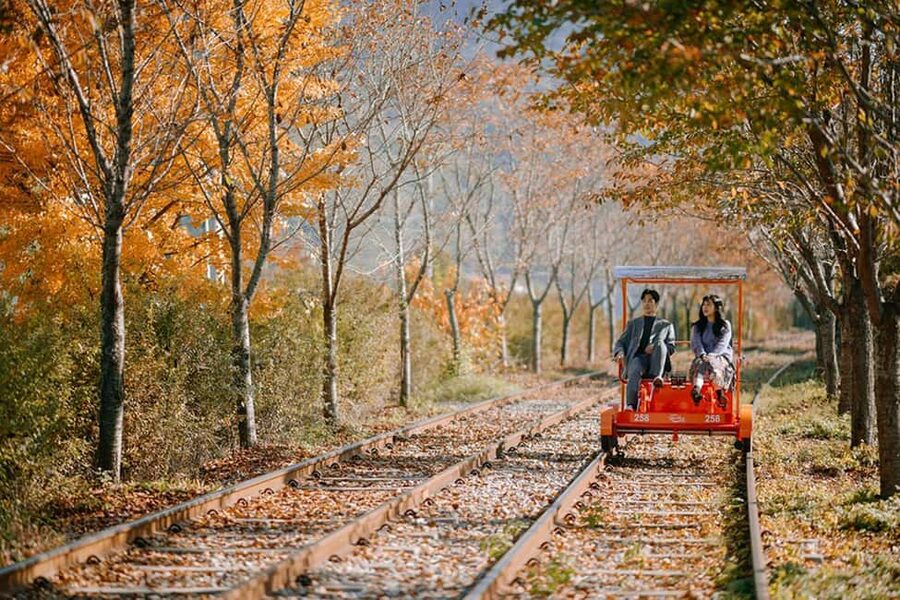 From Seoul: Nami Island, K-drama Garden & Rail Bike Day Tour - Nami Island brings the K-drama atmosphere