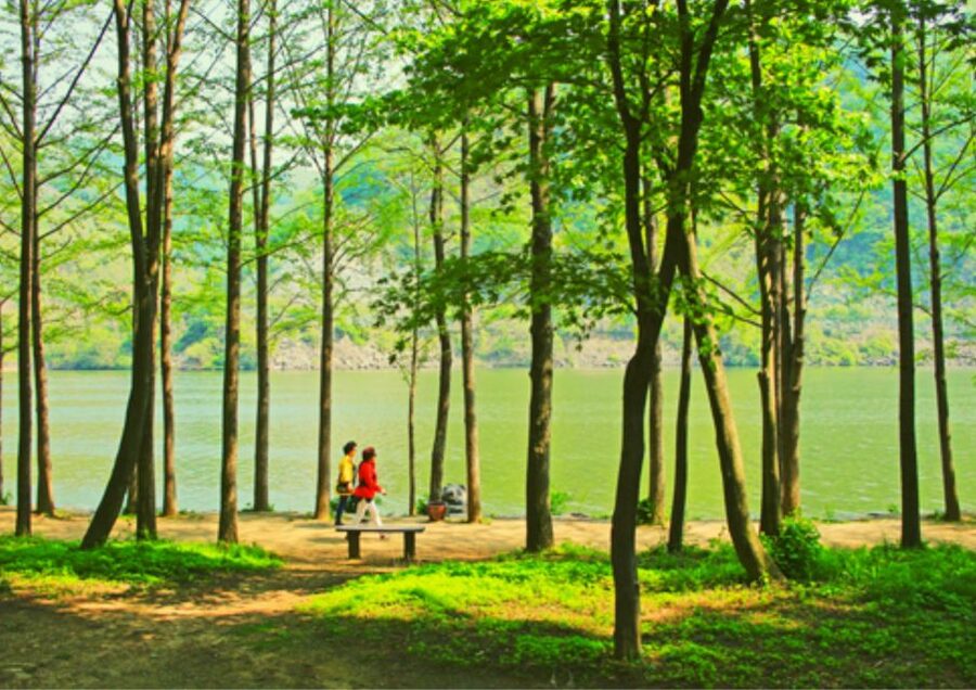 From Seoul: Nami Island, K-drama Garden & Rail Bike Day Tour - What guides add to the experience