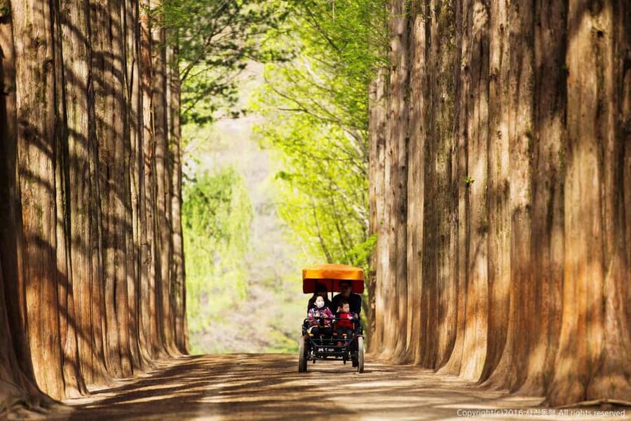 From Seoul: Nami Island, K-drama Garden & Rail Bike Day Tour - Who should book this day trip