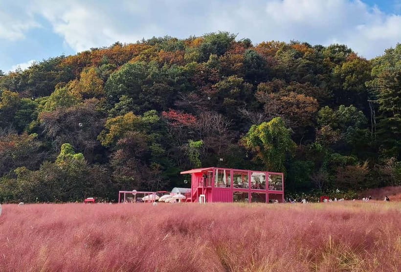 From Seoul: Pocheon, Sanjung Lake and Bidulginang Fall Trip - Sanjung Lake brings the quiet start