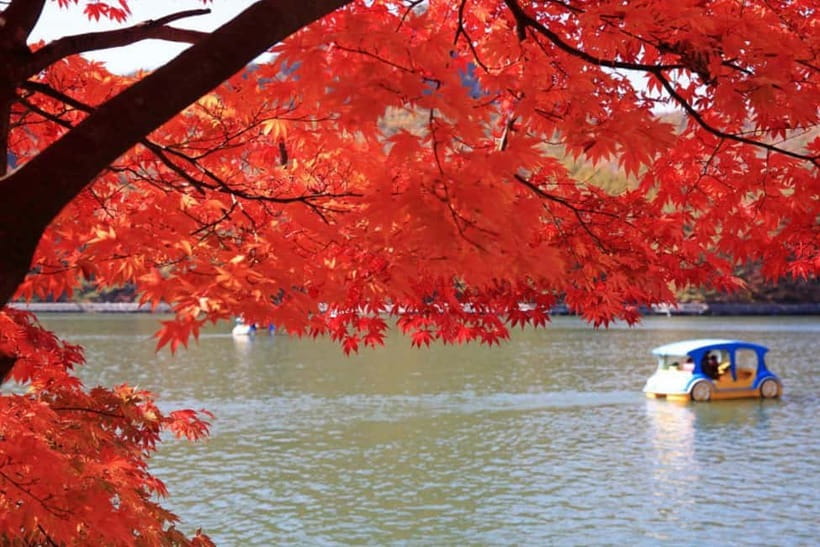From Seoul: Pocheon, Sanjung Lake and Bidulginang Fall Trip - What the $55 price really covers