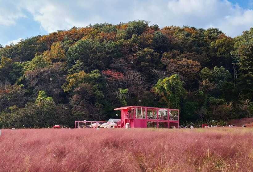 From Seoul: Pocheon, Sanjung Lake and Bidulginang Fall Trip - Booking details worth remembering