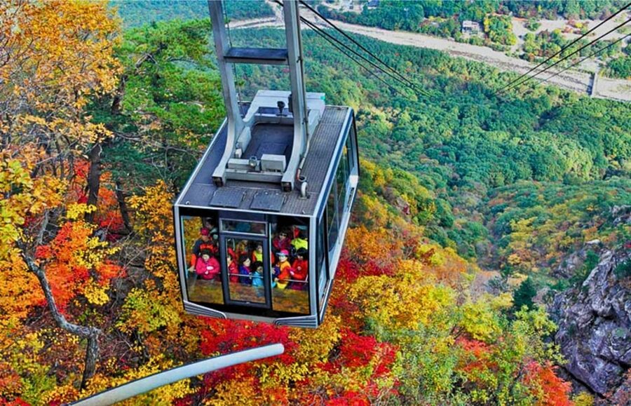 From Seoul: Seoraksan Mountain with Cable Car- Shuttle Bus - Key points to know before booking
