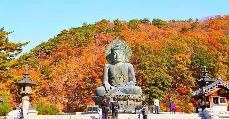 From Seoul: Seoraksan Mountain with Cable Car- Shuttle Bus - From Seoul to Seoraksan, a long ride with a big payoff