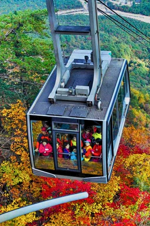 From Seoul: Seoraksan Mountain with Cable Car- Shuttle Bus - Autumn color in October, with no fixed guarantee