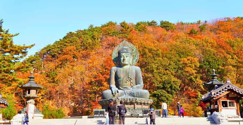 From Seoul: Seoraksan Mountain with Cable Car- Shuttle Bus - Guides, group planning, and the human side of the day