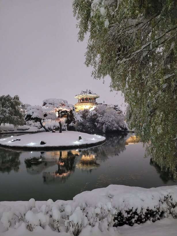 From Seoul: Suwon Hwaseong Fortress Night Tour - Walking the UNESCO-listed fortress walls