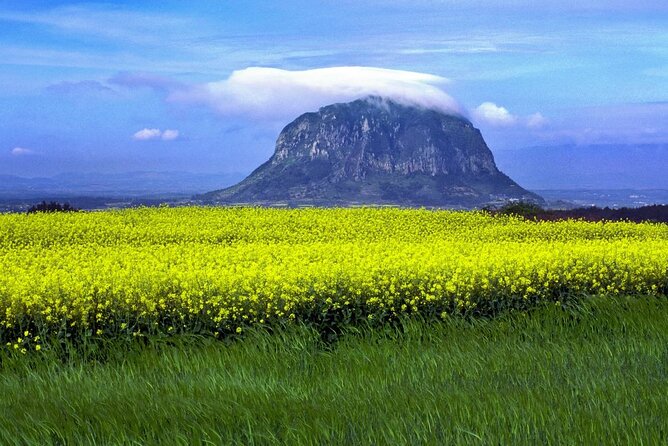 Full Day 12 hours whole Jeju Island private flexible tour - Key points for planning your Jeju day