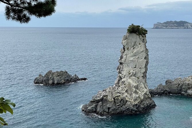 Full Day 12 hours whole Jeju Island private flexible tour - The private vehicle and pickup service