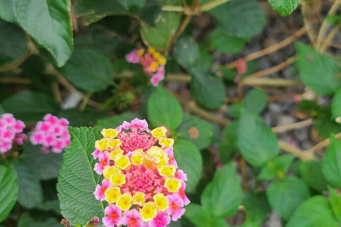 Full Day 12 hours whole Jeju Island private flexible tour - Who should book this experience?