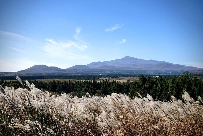 Full Day 12 hours whole Jeju Island private flexible tour - Building your route from sunrise to sunset
