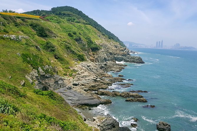 Full Day Busan Tour Including Haedong Yonggungsa Temple - Haedong Yonggungsa, the essential stop