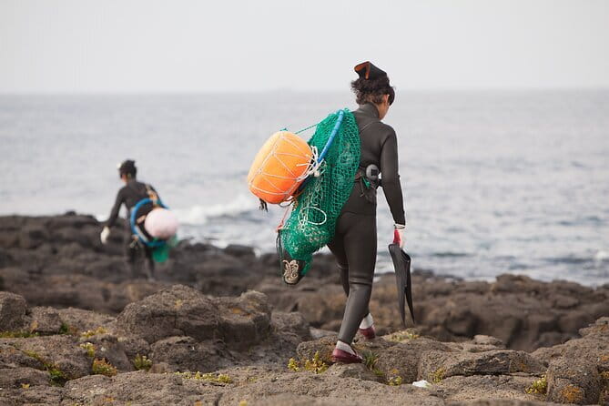 Full-day Customizable Private Jeju Island Tour - Jeongbang Waterfall reaches the sea