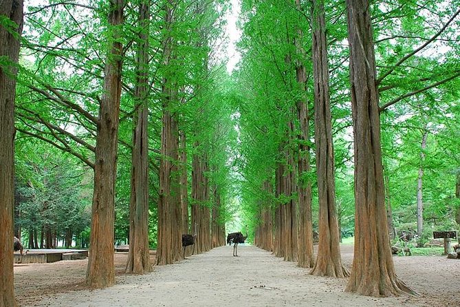 Full-Day Customizable Private Tour to Nami Island and surrounding Area - Soyang River Sky Walk over Uiam Lake