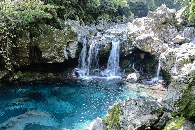 Full Day Essential Jeju Island Private tour for West Course - Why this western Jeju day works