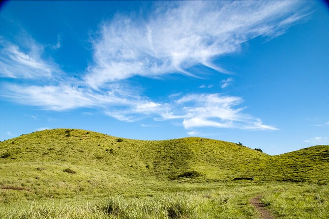 Full Day Essential Jeju Island Private tour for West Course - Osulloc Tea Museum and Jeju’s green tea fields