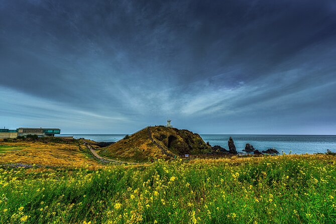 Full-Day Jeju Island UNESCO Tour for Cruise Layover Guests - Seogwipo Gangjeong route: waterfalls, cliffs, and mountain air