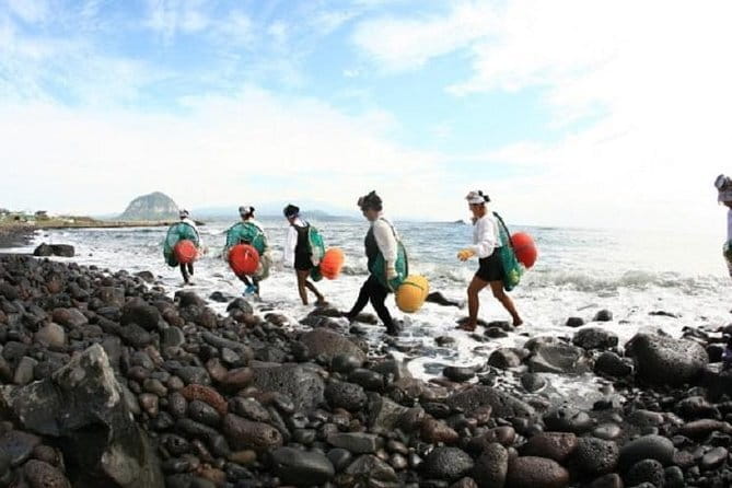 Full Day Jeju Private Customizable highlight Tour - A private day built around your Jeju priorities