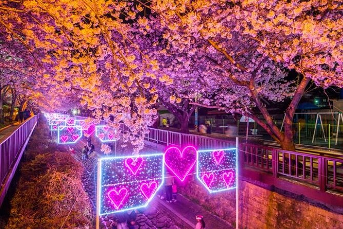 Full-Day Jinhae Cherry Blossom festival Private tour - Gyeonghwa Station: the classic first view