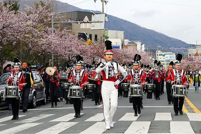 Full-Day Jinhae Cherry Blossom festival Private tour - Jehwangsan Park and the 365 steps