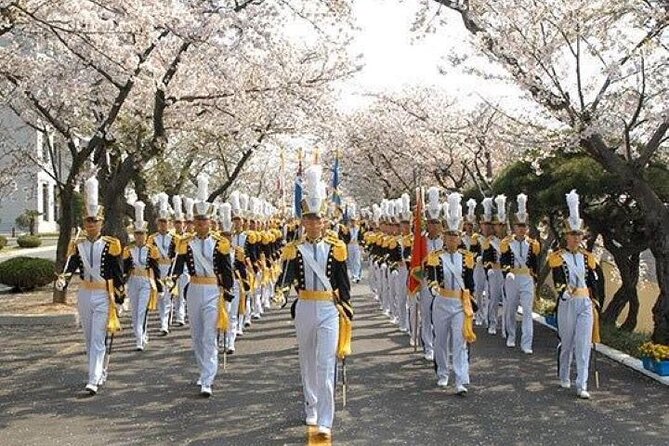 Full-Day Jinhae Cherry Blossom festival Private tour - Anmingogae Pass and the road through the hills
