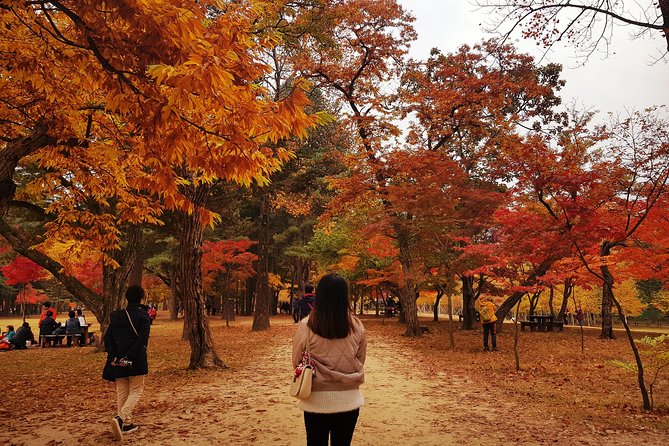 [ Full Day ] Nami Island & Petit France From Seoul - Leaving Seoul from the President Hotel at 8:00 am