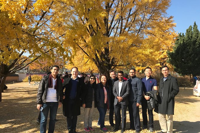 [ Full Day ] Nami Island & Petit France From Seoul - Who will enjoy this Nami Island and Petite France combination?