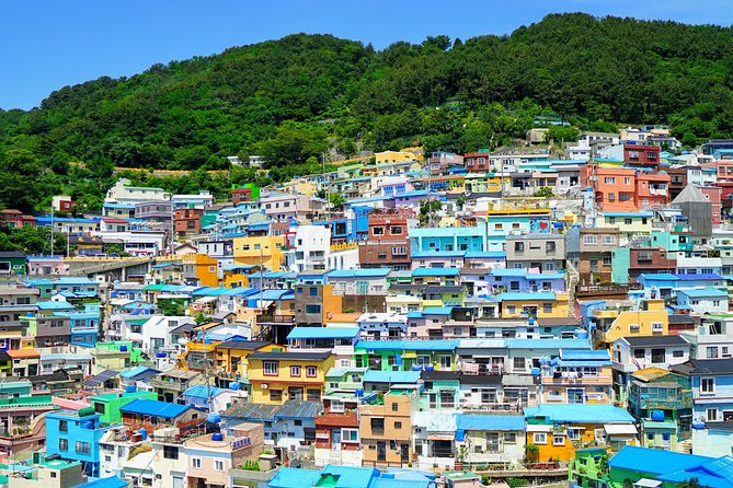 Full Day Private Busan Highlight Tour with Licensed Guide - The Haeundae Blue Line Park option