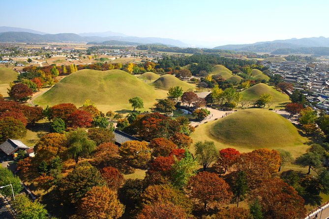 Full day Private Gyeongju UNESCO Heritage Tour : a glimpse into Silla - Gyeongju National Museum: the objects that make Silla real