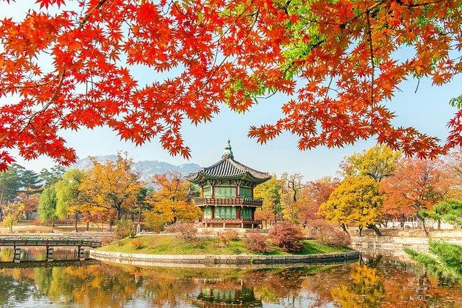 Full Day Private Seoul Tour for foodies - N Seoul Tower for an evening view