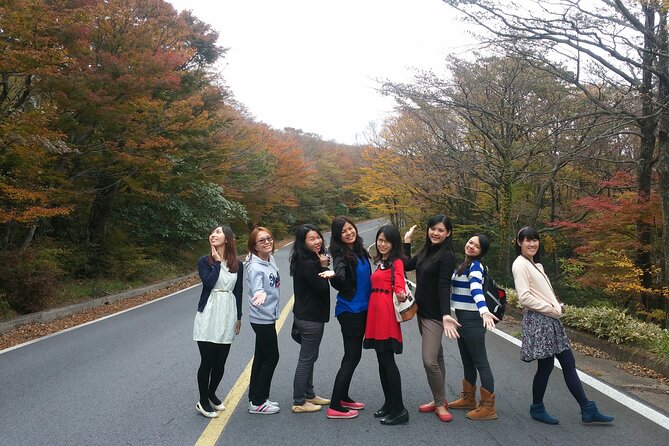 Full-Day Private Taxi Tour South of Jeju Island - Cheonjeyeon Falls and the three-stage finale
