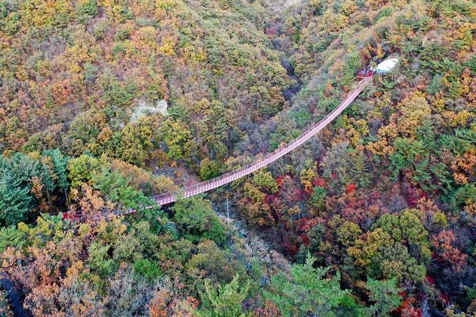 Full Day Private Tour DMZ (The 3rd Tunnel) & Suspension Bridge - Gamak Mountain: a dramatic change after the DMZ